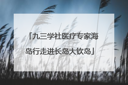 九三学社医疗专家海岛行走进长岛大钦岛