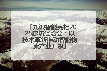 九识智能亮相2025廊坊经洽会：以技术革新推动智能物流产业升级