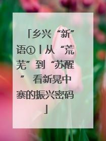 乡兴“新”语①丨从“荒芜”到“苏醒” 看新晃中寨的振兴密码