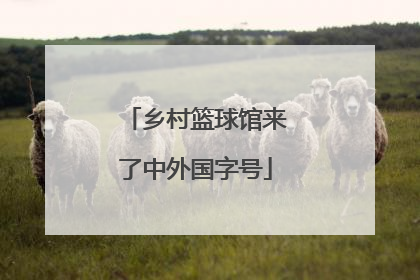 乡村篮球馆来了中外国字号