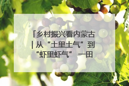乡村振兴看内蒙古｜从“土里土气”到“虾里虾气” 一田双收模式火出圈