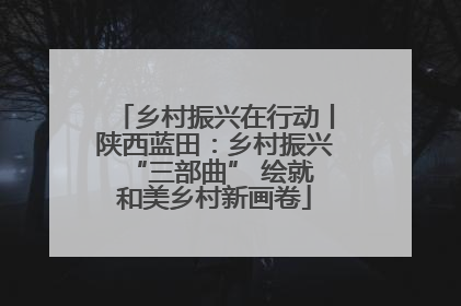 乡村振兴在行动丨陕西蓝田：乡村振兴 “三部曲” 绘就和美乡村新画卷