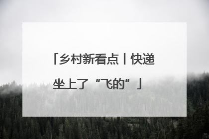 乡村新看点丨快递坐上了“飞的”