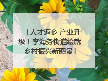 人才返乡 产业升级！李海务街道绘就乡村振兴新图景