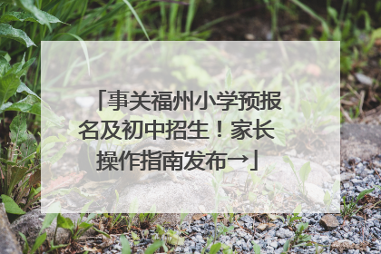 事关福州小学预报名及初中招生！家长操作指南发布→