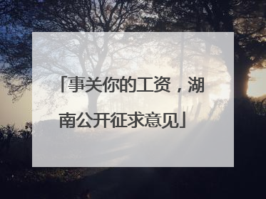 事关你的工资，湖南公开征求意见