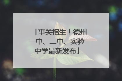 事关招生！德州一中、二中、实验中学最新发布