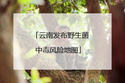 云南发布野生菌中毒风险地图