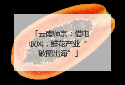 云南师宗：借电驭风，鲜花产业“破圈出海”