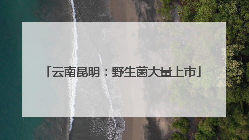云南昆明：野生菌大量上市