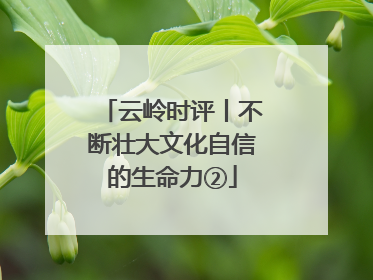 云岭时评丨不断壮大文化自信的生命力②