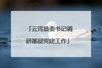 云霄县委书记调研基层党建工作