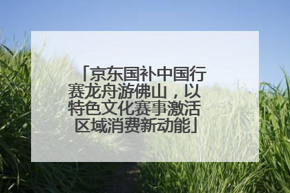 京东国补中国行赛龙舟游佛山，以特色文化赛事激活区域消费新动能
