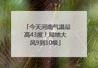 今天河南气温最高43度！局地大风9到10级