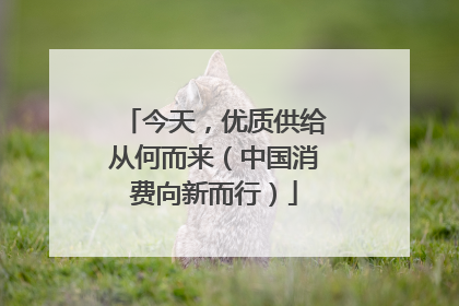 今天，优质供给从何而来（中国消费向新而行）
