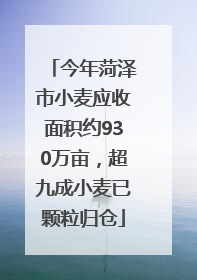 今年菏泽市小麦应收面积约930万亩，超九成小麦已颗粒归仓