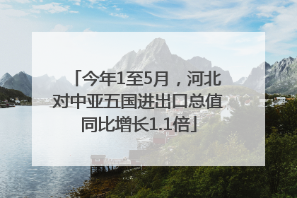 今年1至5月，河北对中亚五国进出口总值同比增长1.1倍