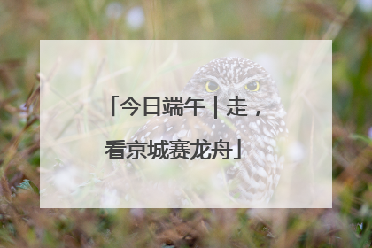 今日端午｜走，看京城赛龙舟
