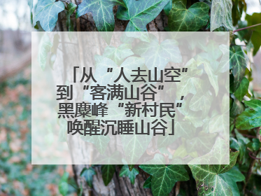 从“人去山空”到“客满山谷”，黑麋峰“新村民”唤醒沉睡山谷