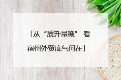从“质升量稳” 看宿州外贸底气何在