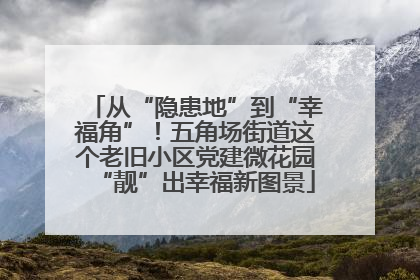 从“隐患地”到“幸福角”！五角场街道这个老旧小区党建微花园“靓”出幸福新图景