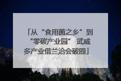 从“食用菌之乡”到“零碳产业园” 武威多产业借兰洽会破圈