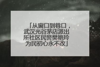 从窗口到巷口，武汉光谷茅店派出所社区民警樊艳玲为民初心永不改