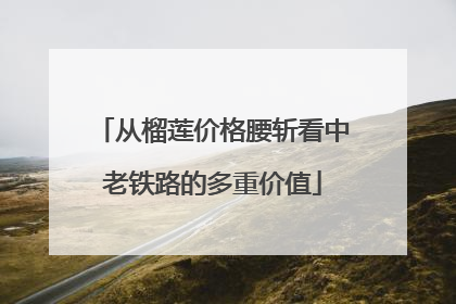 从榴莲价格腰斩看中老铁路的多重价值