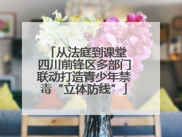 从法庭到课堂 四川前锋区多部门联动打造青少年禁毒“立体防线”