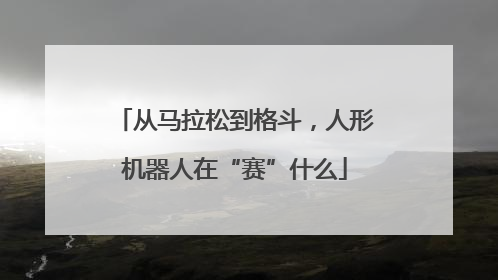从马拉松到格斗，人形机器人在“赛”什么