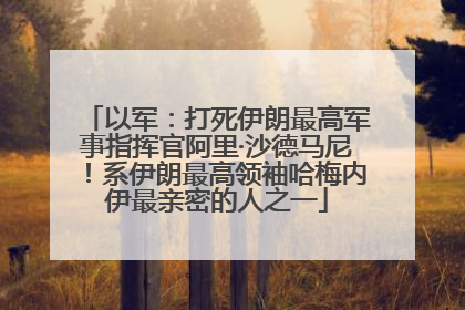 以军：打死伊朗最高军事指挥官阿里·沙德马尼！系伊朗最高领袖哈梅内伊最亲密的人之一