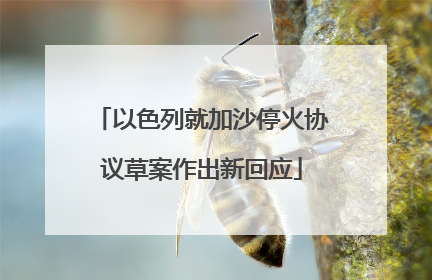 以色列就加沙停火协议草案作出新回应