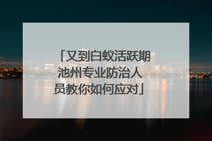又到白蚁活跃期 池州专业防治人员教你如何应对