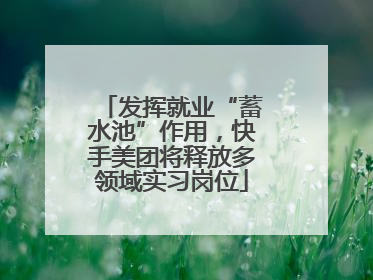 发挥就业“蓄水池”作用，快手美团将释放多领域实习岗位