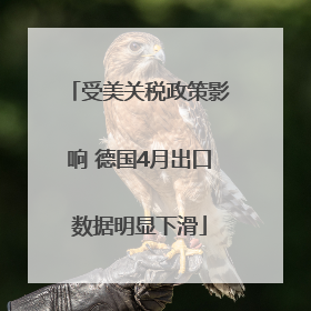 受美关税政策影响 德国4月出口数据明显下滑