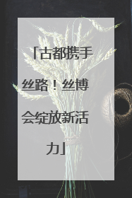 古都携手丝路！丝博会绽放新活力