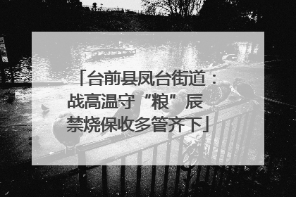台前县凤台街道：战高温守“粮”辰 禁烧保收多管齐下