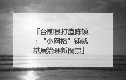 台前县打渔陈镇：“小网格”铺就基层治理新图景
