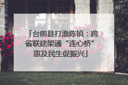 台前县打渔陈镇：跨省联建架通“连心桥” 惠及民生促振兴