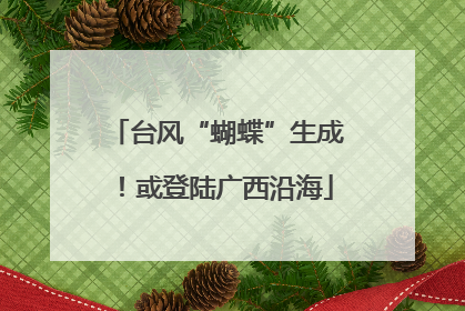 台风“蝴蝶”生成！或登陆广西沿海