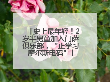 史上最年轻！2岁半男童加入门萨俱乐部，“正学习摩尔斯电码”