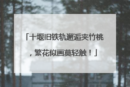 十堰旧铁轨邂逅夹竹桃，繁花似画莫轻触！