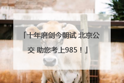 十年磨剑今朝试 北京公交 助您考上985！