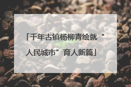 千年古镇杨柳青绘就“人民城市”育人新篇