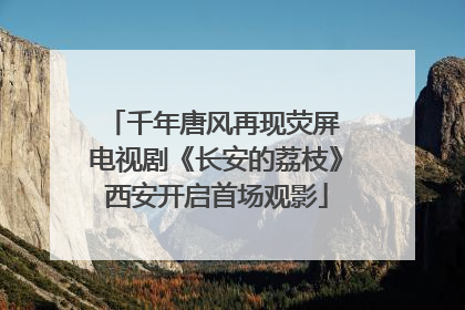 千年唐风再现荧屏 电视剧《长安的荔枝》西安开启首场观影