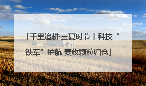 千里追耕·三夏时节丨科技“铁军”护航 麦收颗粒归仓