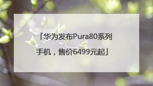 华为发布Pura80系列手机，售价6499元起