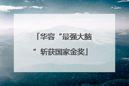 华容“最强大脑”斩获国家金奖