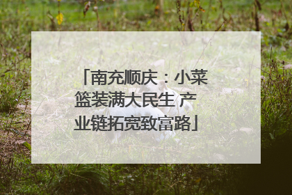 南充顺庆：小菜篮装满大民生 产业链拓宽致富路
