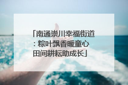 南通崇川幸福街道：粽叶飘香暖童心 田间耕耘助成长